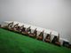 40x50 বিশাল কাস্টম তৈরি তাঁবু উচ্চতা 6 মি বিশ্ববিদ্যালয় গ্রাউন্ড ব্রেকিং অনুষ্ঠান